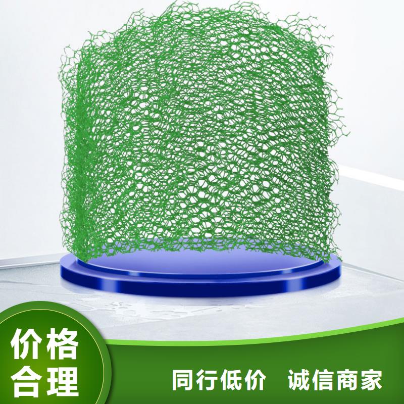 EM3三维植被网塑料植被网型号齐全-可定制加工
