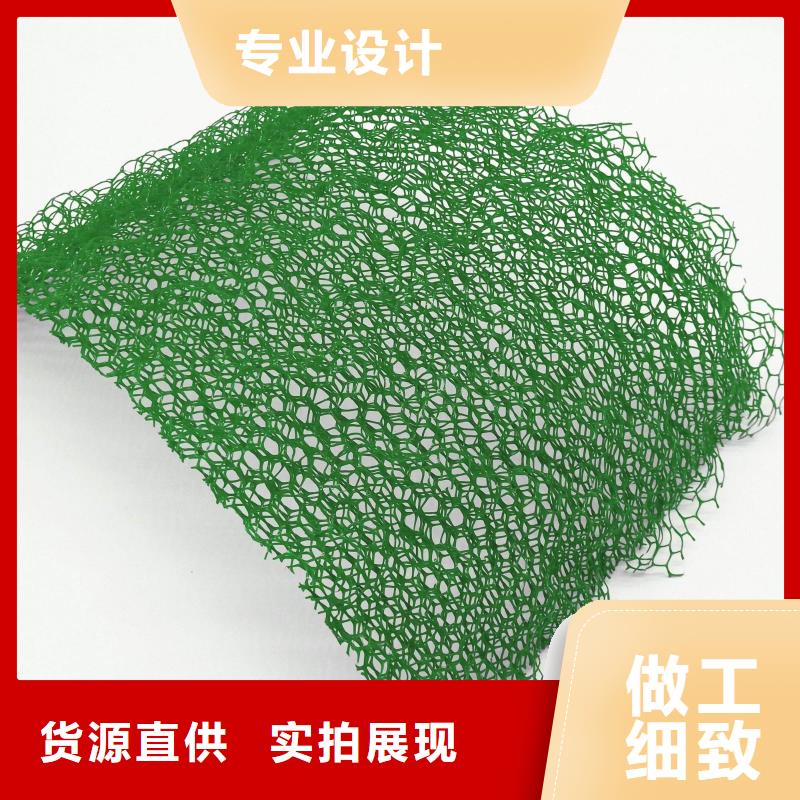 EM3三维植被网塑料植被网型号齐全-可定制加工