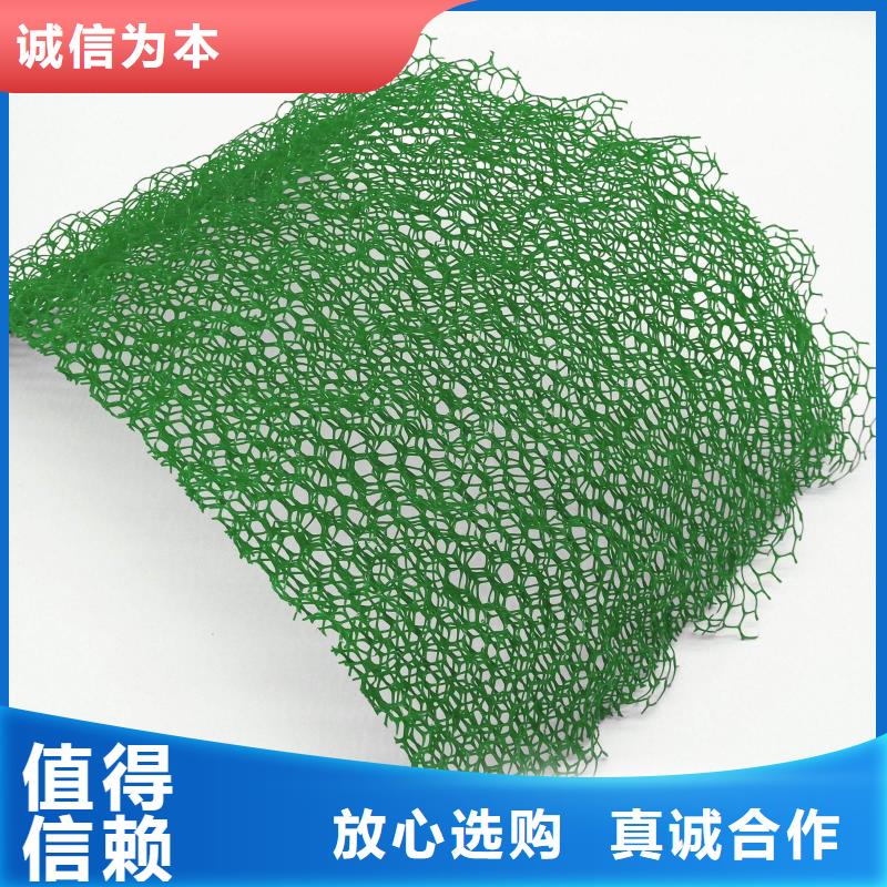 EM5三维植被网塑料植被网价格-2025年报价