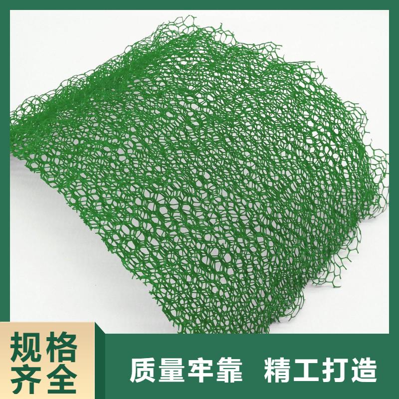 EM4三维植被网护坡植被网生产厂家-质优价廉