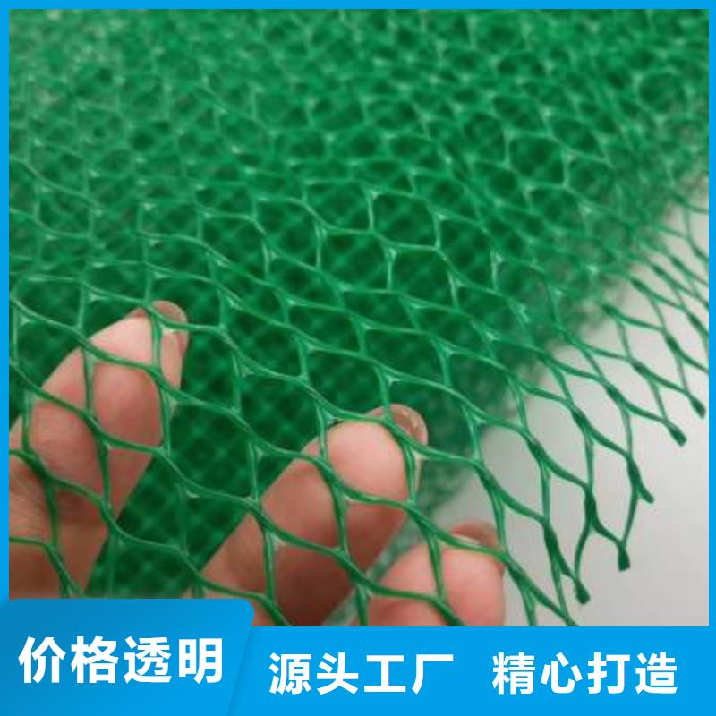 三维植被网土工格栅产品参数