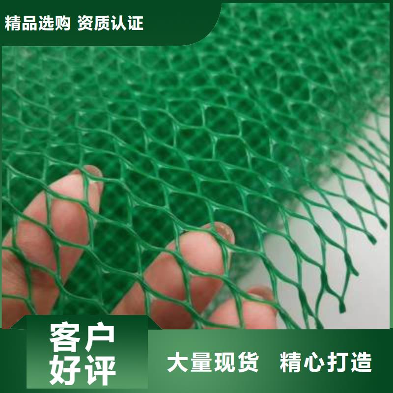 三维土工网垫多少钱一平厂家报价