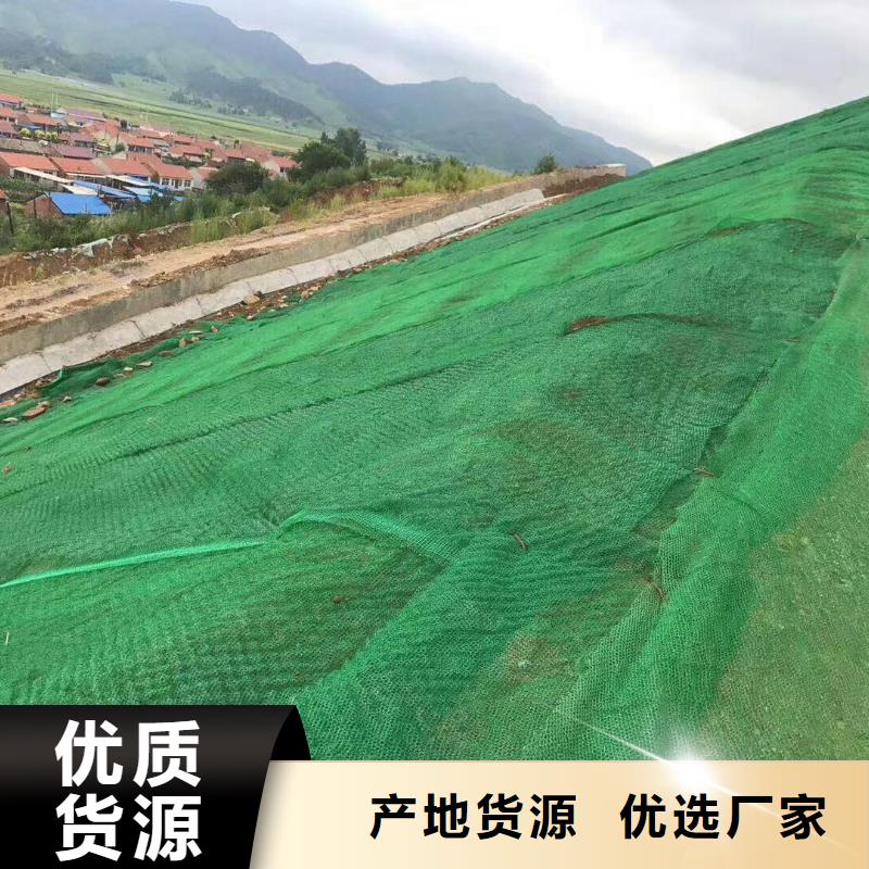 2025耐用三维植被网实力厂家/现货供应