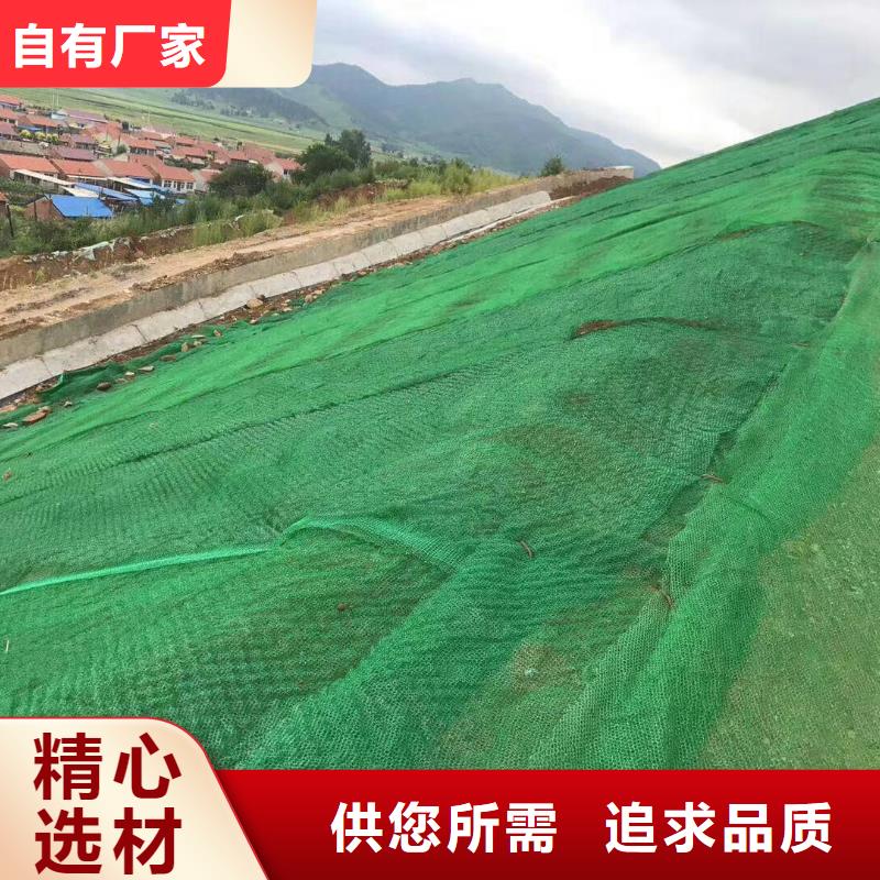 20252025多规格三维植被网垫规格型号齐全-可定制