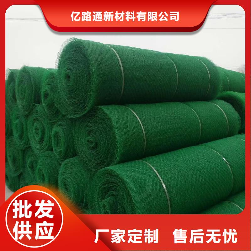 绿化三维植被网实力厂家/现货供应