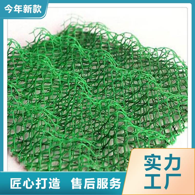 三维植被网凸结点钢塑土工格栅用的放心