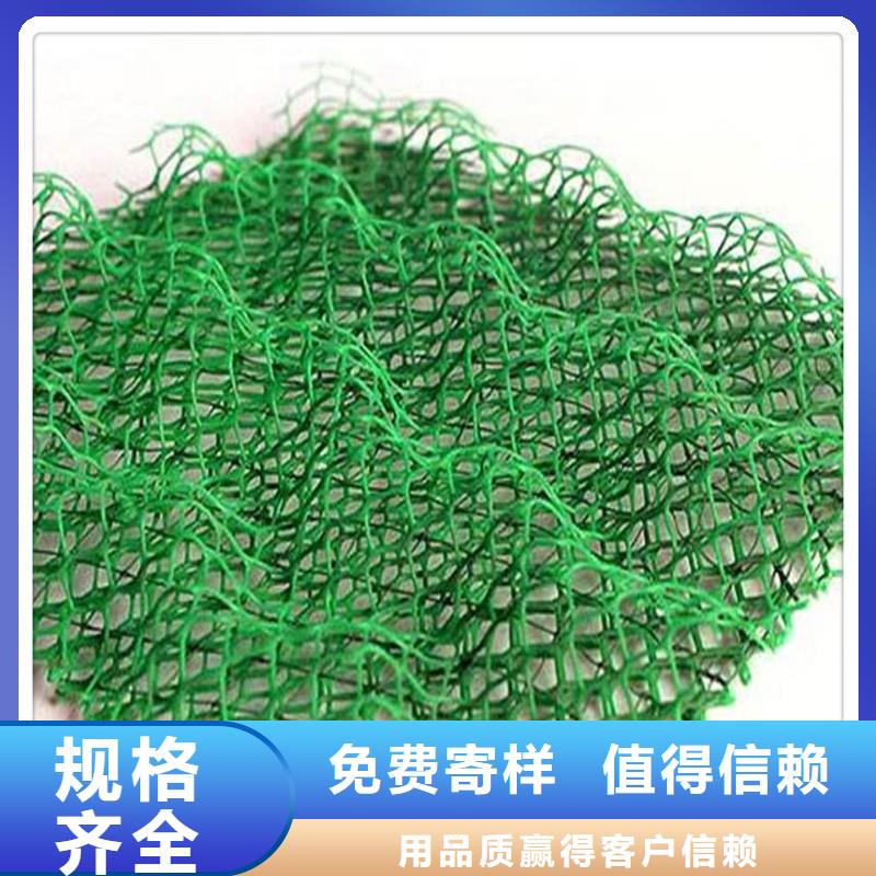 EM5三维植被网绿化植被网型号齐全-可定制加工