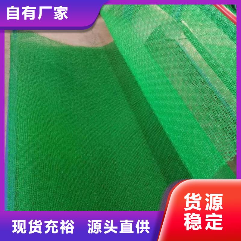 EM3三维植被网塑料植被网型号齐全-可定制加工