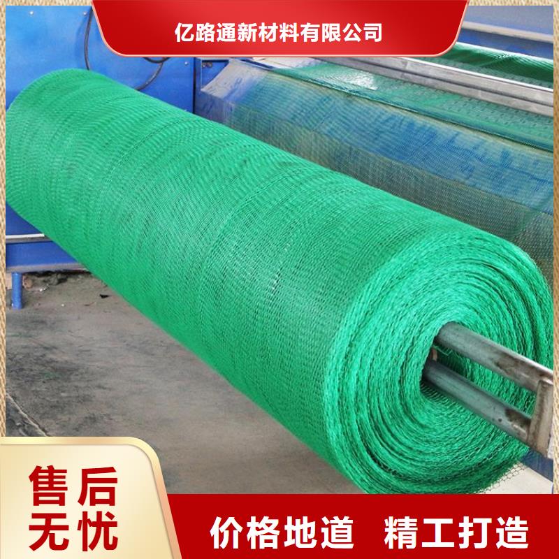 20252025三维植被网垫生产厂家-现货供应