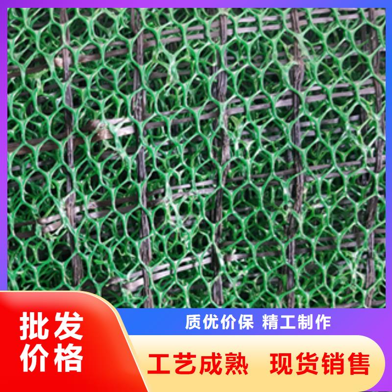 三维土工网垫多少钱一平厂家报价