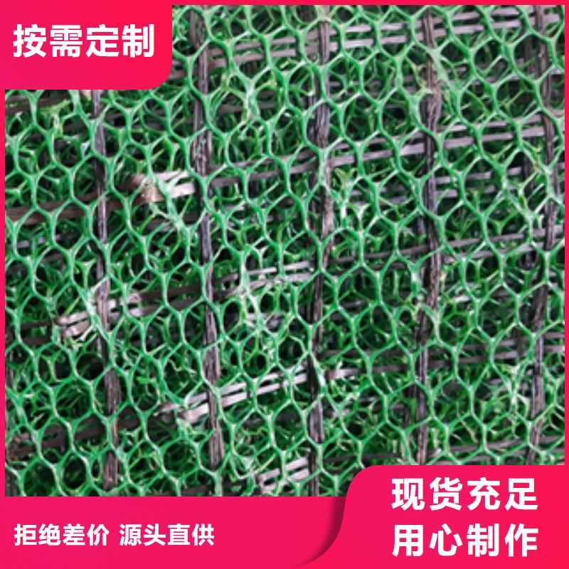 【三维植被网玻纤土工格栅欢迎来厂考察】
