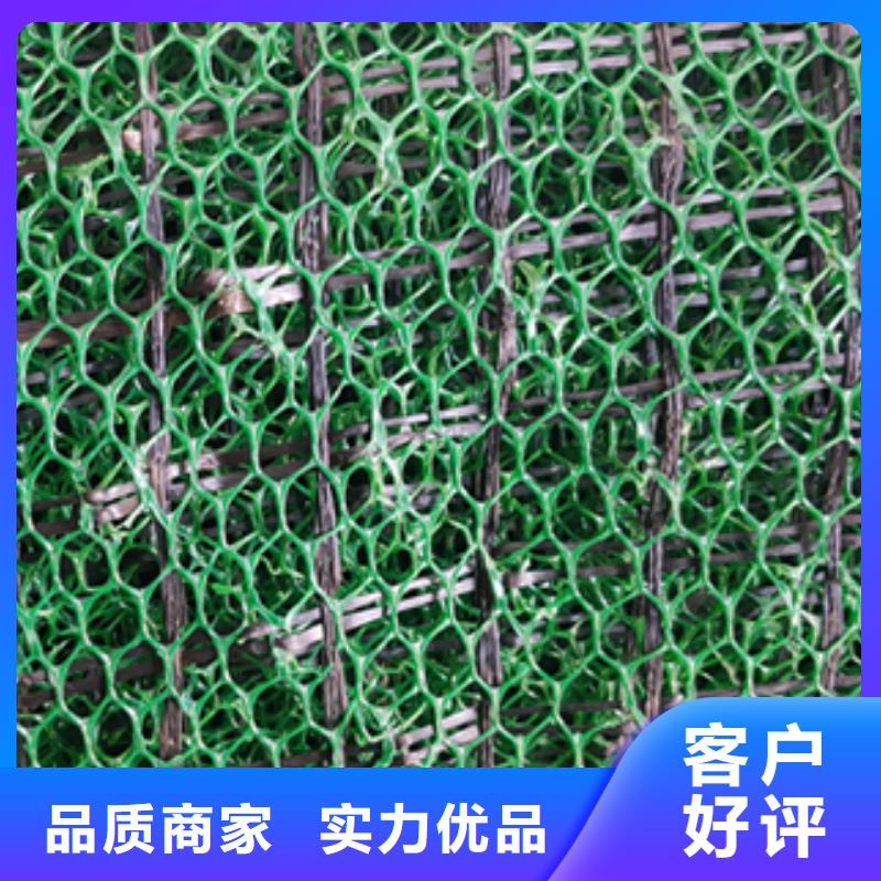 20252025边坡防护三维植被网施工工艺