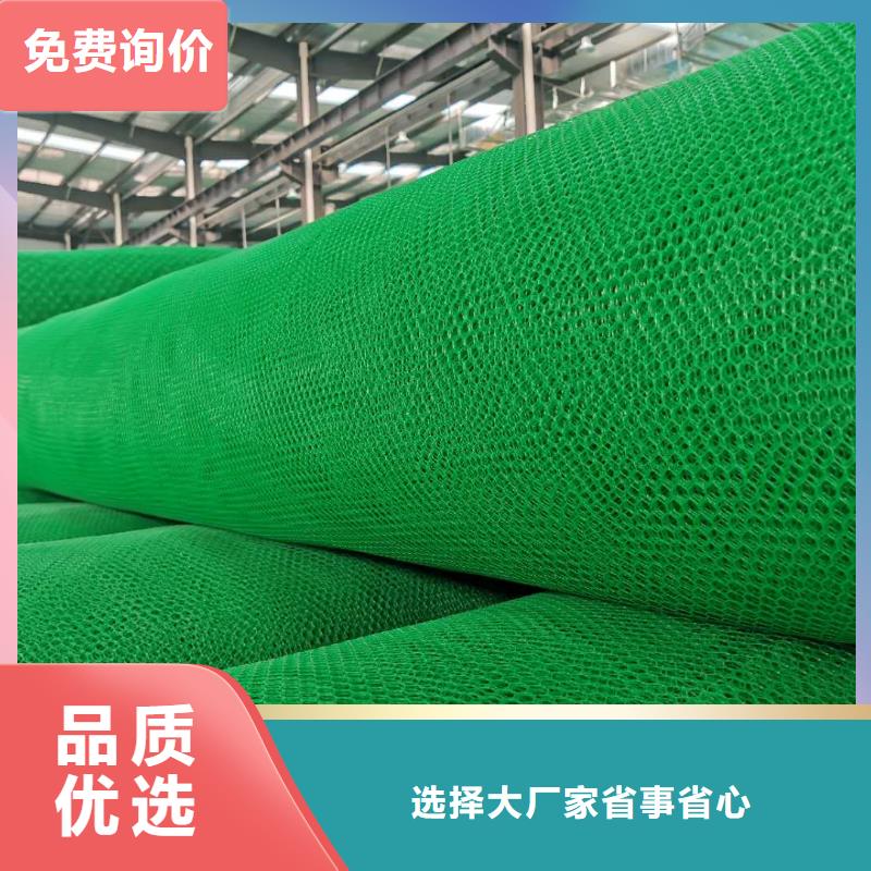 三维土工网垫多少钱一平厂家报价
