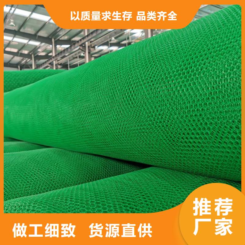 20252025三维植被网垫规格型号齐全-可定制