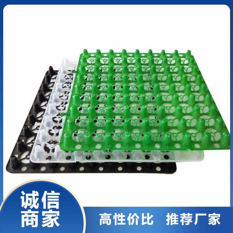 【塑料排水板】玻纤土工格栅极速发货