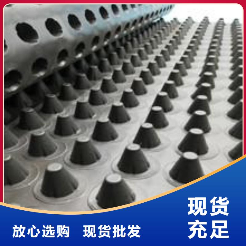 【塑料排水板复合土工膜优质材料厂家直销】