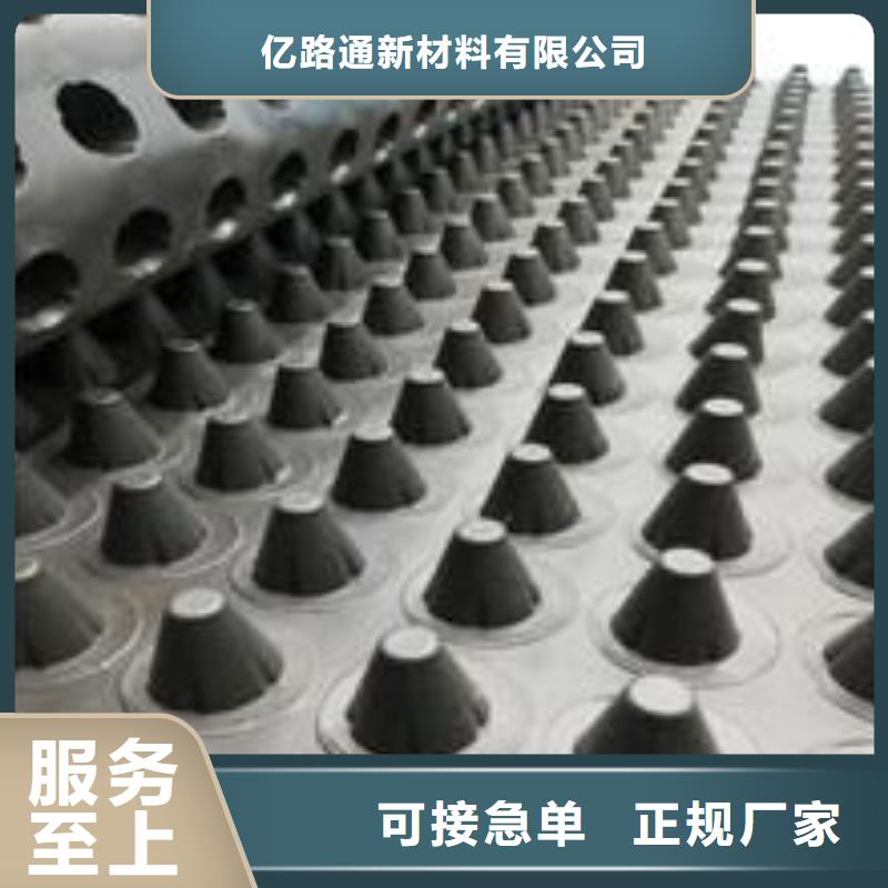 塑料排水板钢塑土工格栅定制销售售后为一体