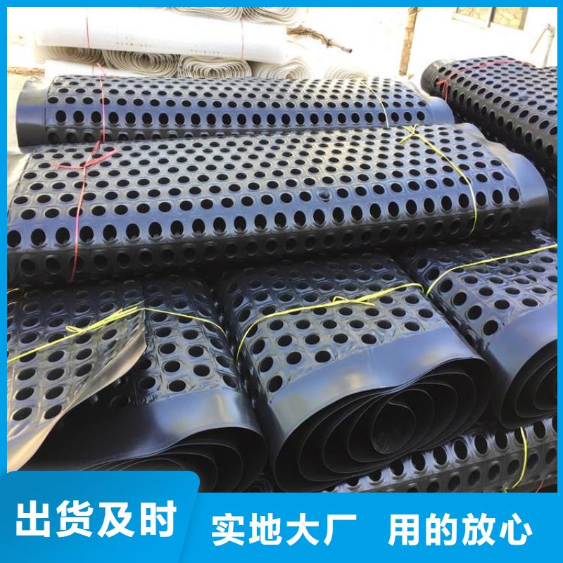 塑料排水板,凸结点钢塑土工格栅诚信商家