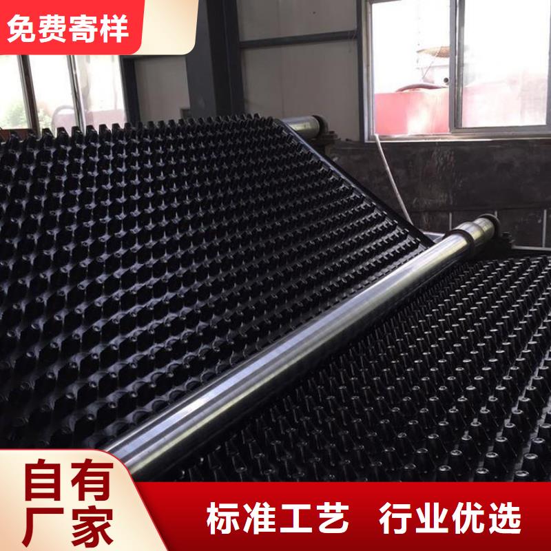 【塑料排水板复合土工膜优质材料厂家直销】