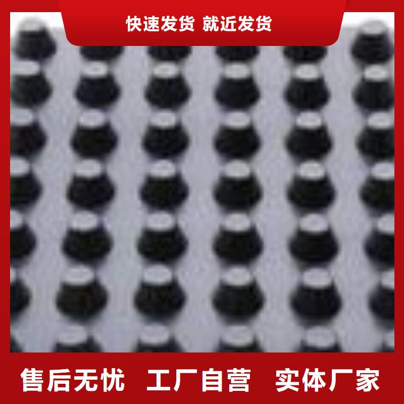 塑料排水板,凸结点钢塑土工格栅诚信商家