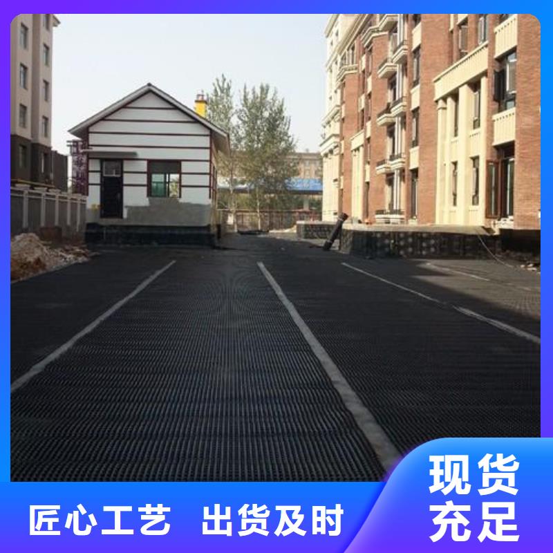 塑料排水板,凸结点钢塑土工格栅诚信商家