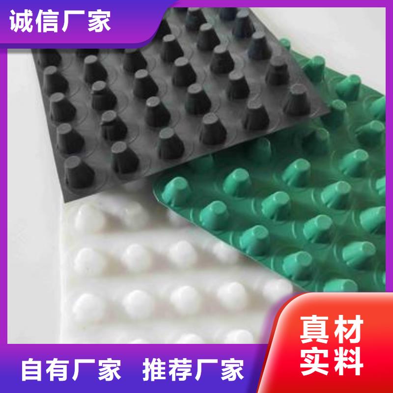 塑料排水板三维土工网垫优质原料