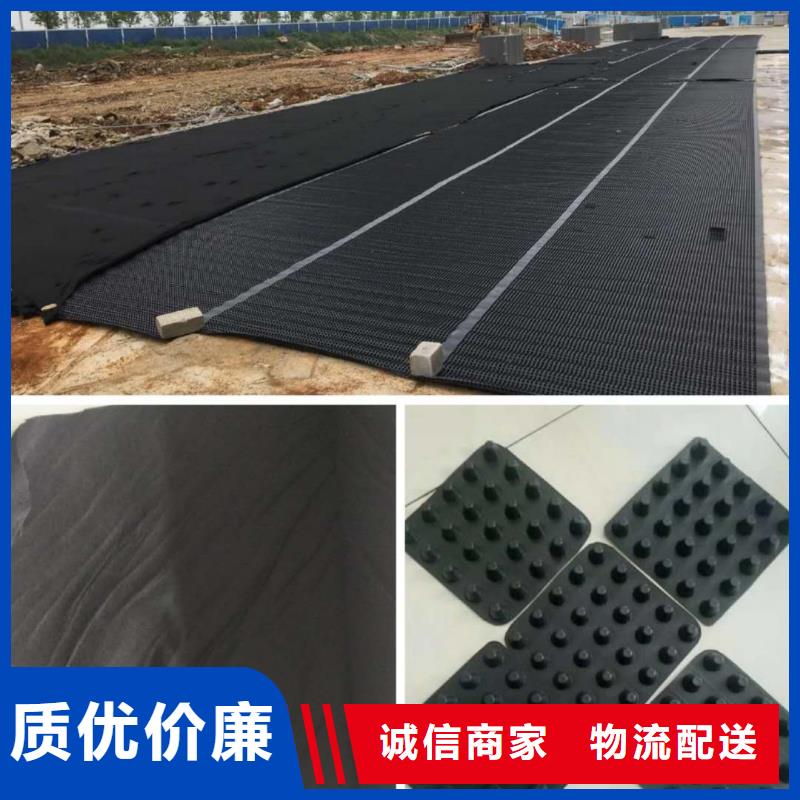 塑料排水板三维土工网垫国标检测放心购买