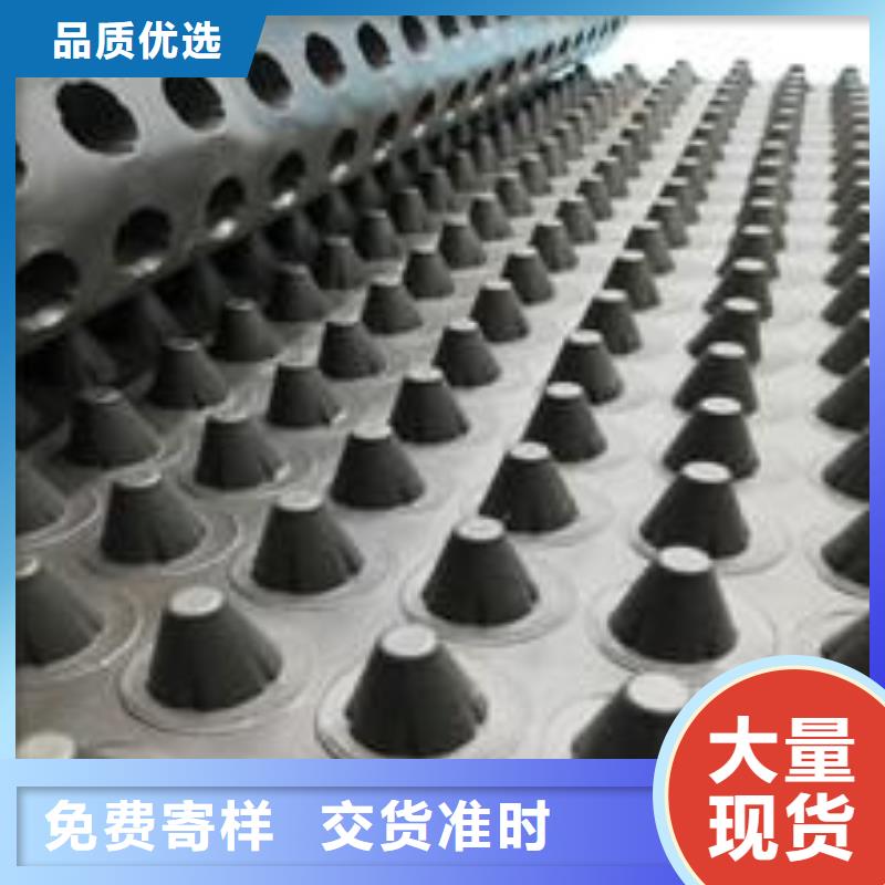 塑料排水板塑料土工格栅按需定制真材实料