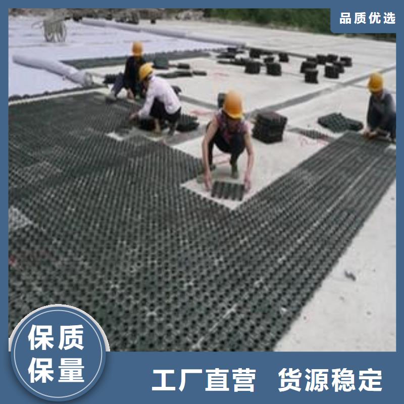 塑料排水板三维土工网垫优质原料