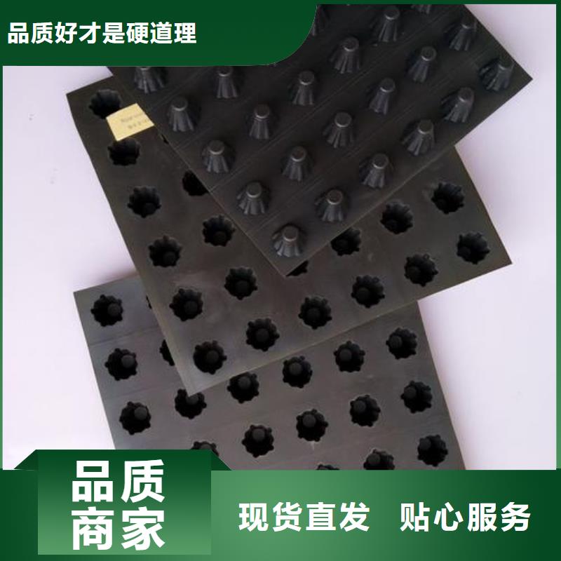 塑料排水板钢塑土工格栅定制销售售后为一体