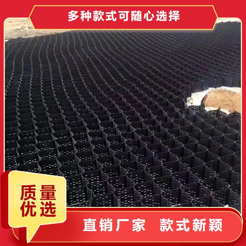土工格室双向土工格栅出货快