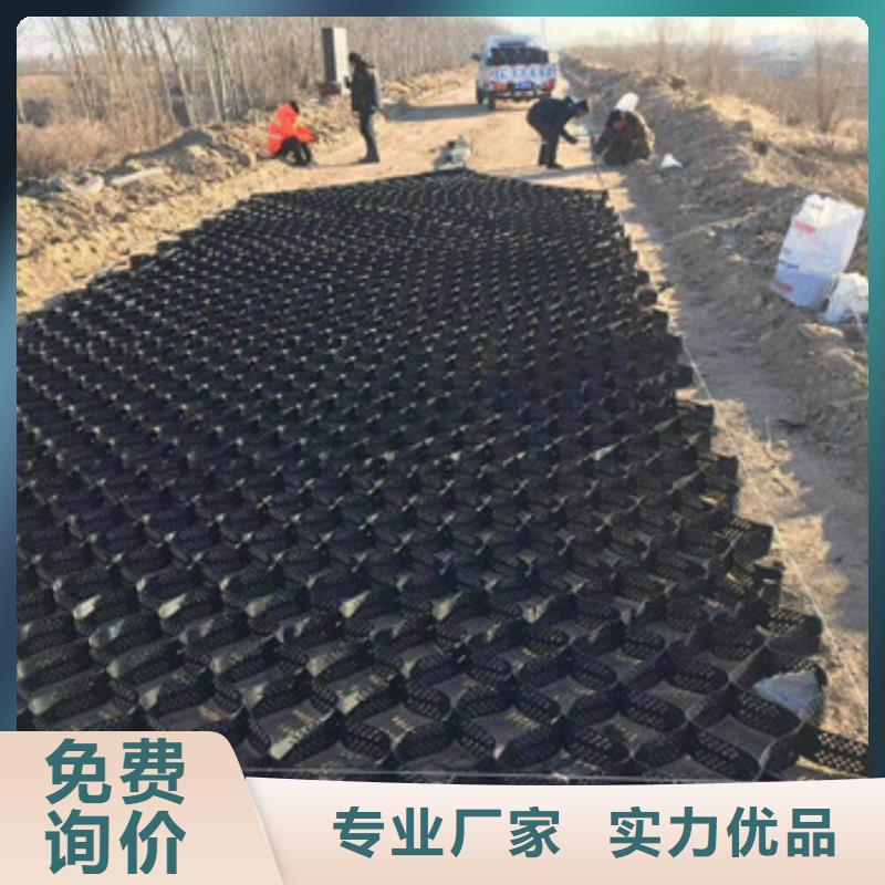 土工格室三维土工网垫送货上门