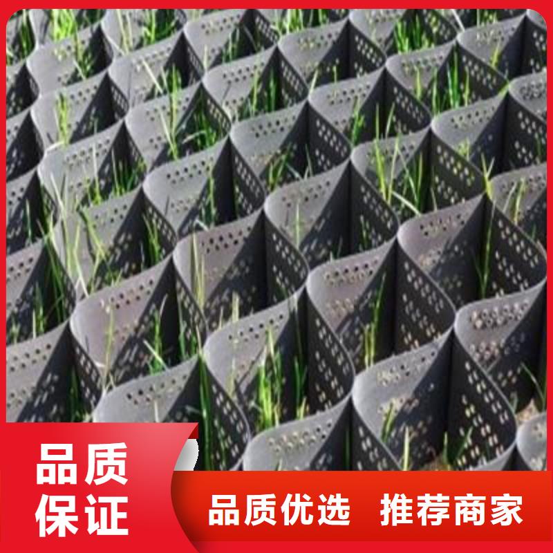 【土工格室钢塑土工格栅畅销本地】
