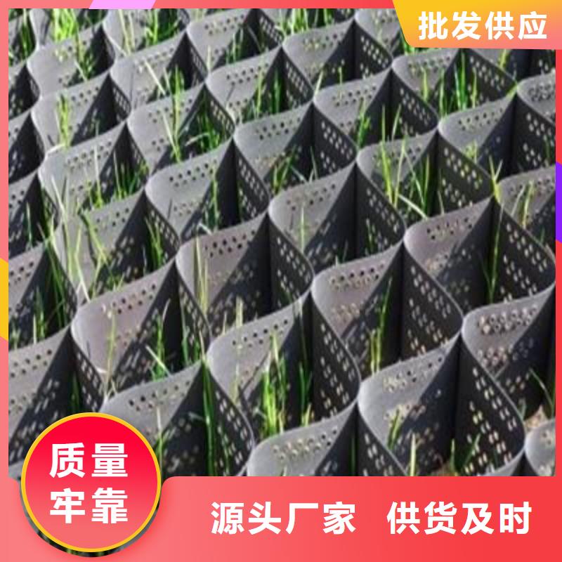 【土工格室】-钢塑土工格栅种类多质量好