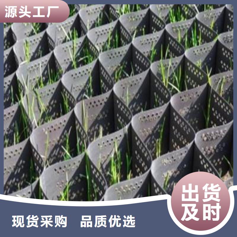 土工格室三维土工网垫送货上门