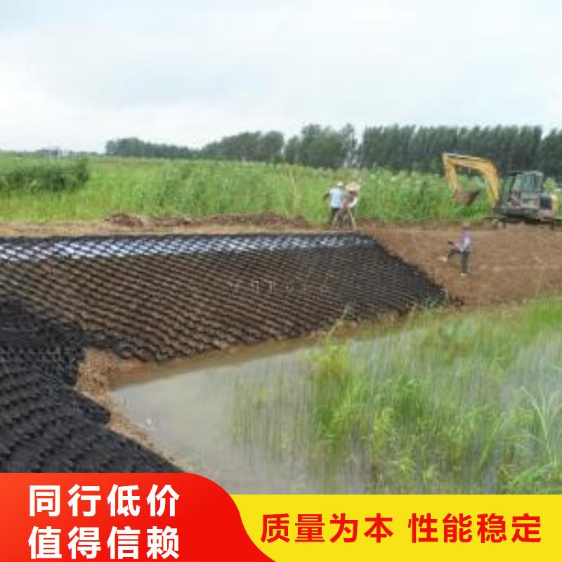 土工格室土工格栅精工打造