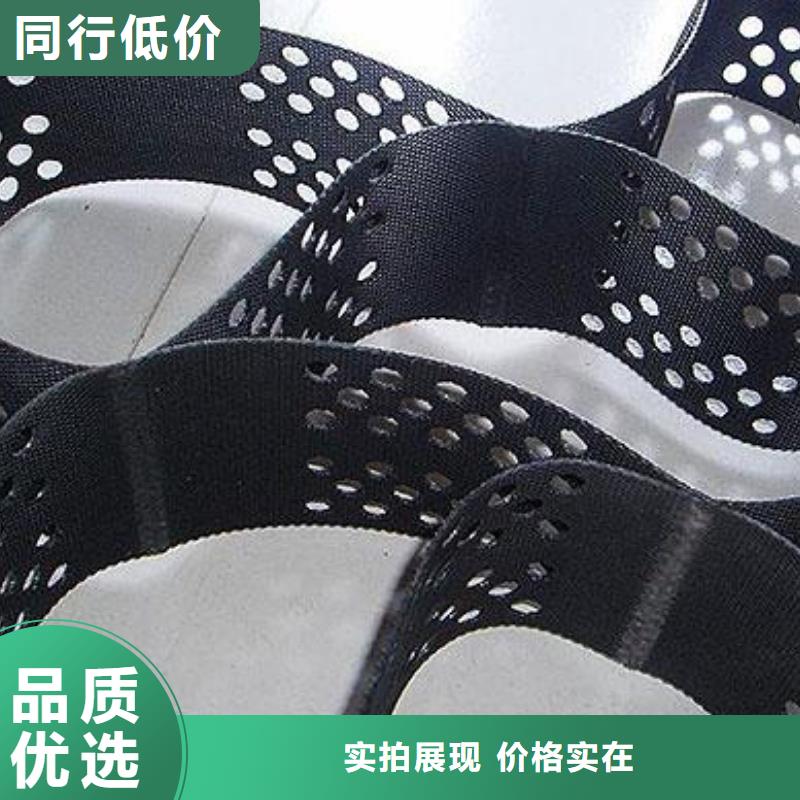 土工格室_涤纶土工格栅值得买