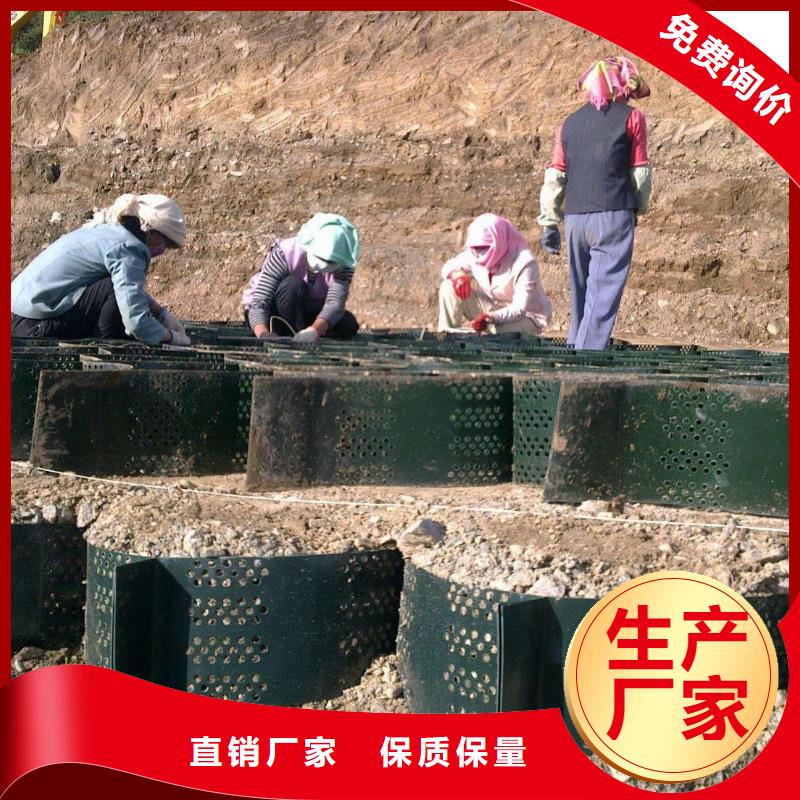 土工格室_涤纶土工格栅值得买