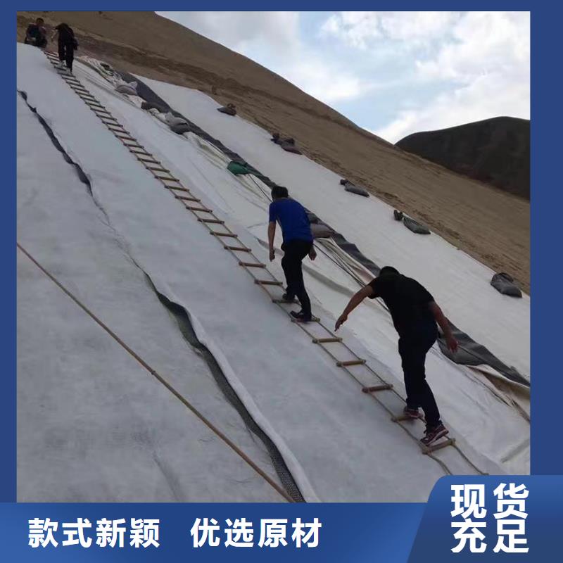 三维复合排水网防水土工布多种优势放心选择