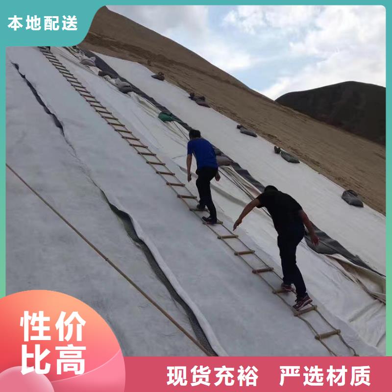三维复合排水网复合土工膜当日价格