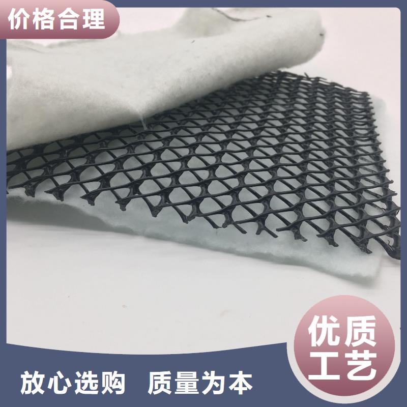三维复合排水网玻纤土工格栅专业完善售后