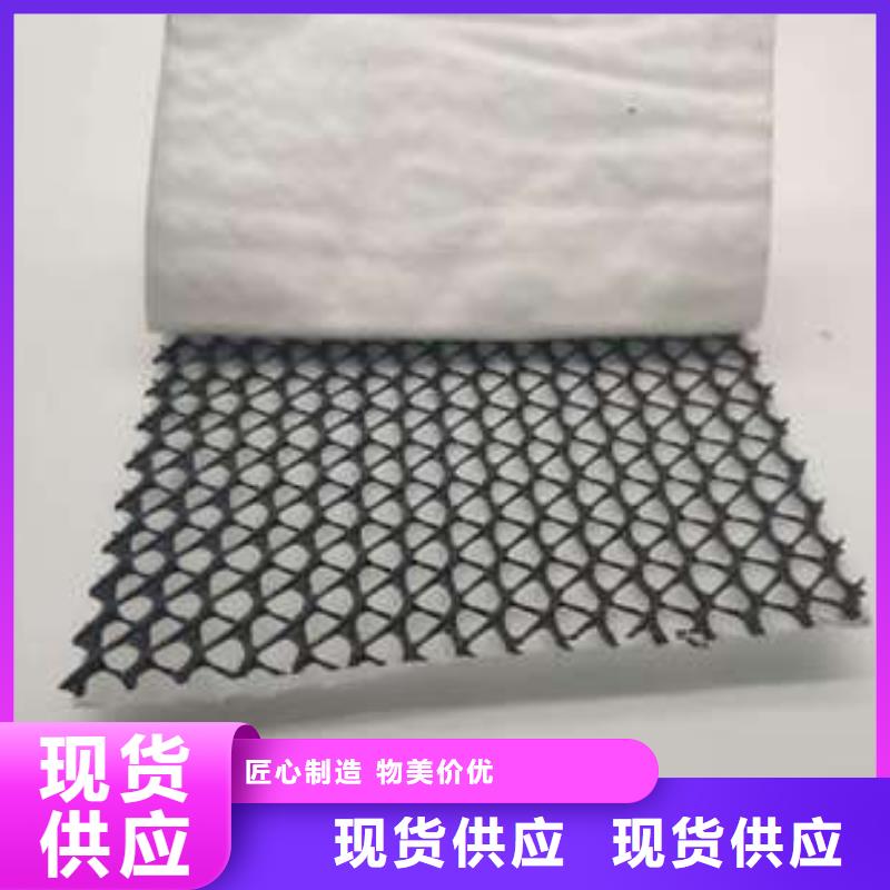 三维复合排水网土工席垫低价货源