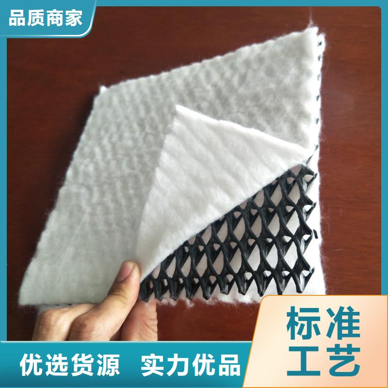 三维复合排水网价格/报价
