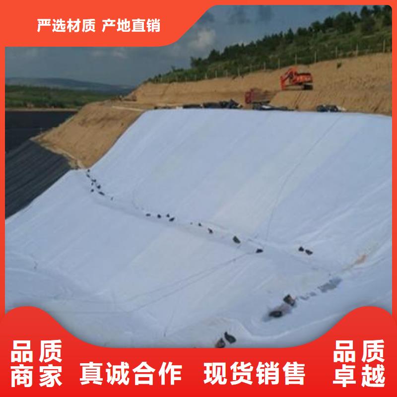 三维复合排水网复合土工膜厂家大量现货