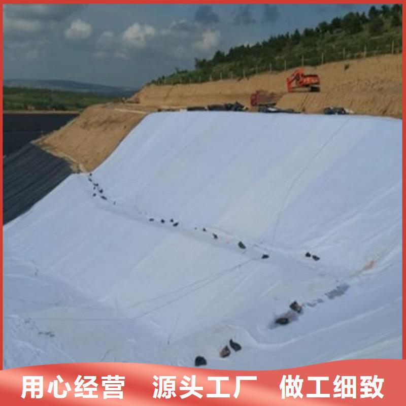 园林草坪排水网价格/2025年报价