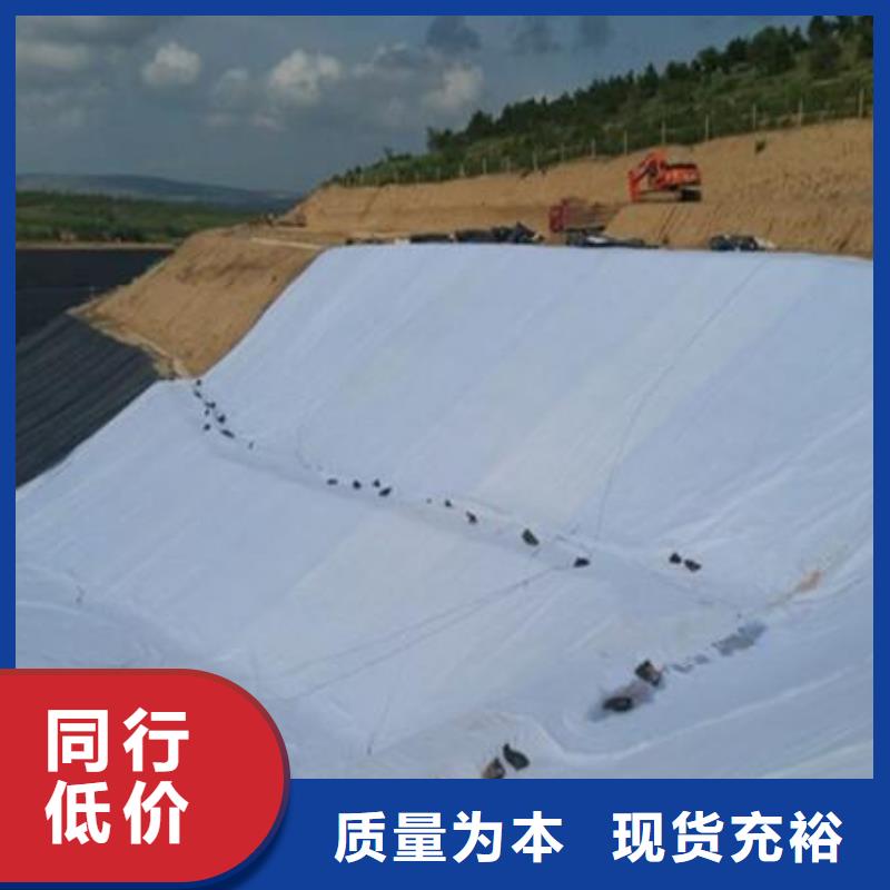 复合土工排水网厂家直供