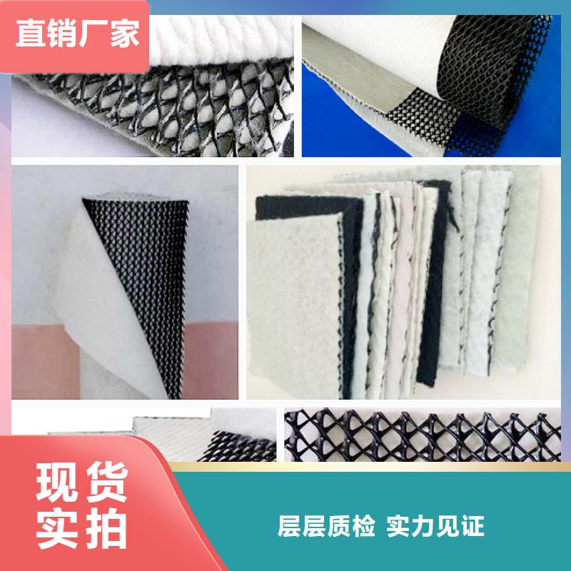三维复合排水网土工席垫现货充足