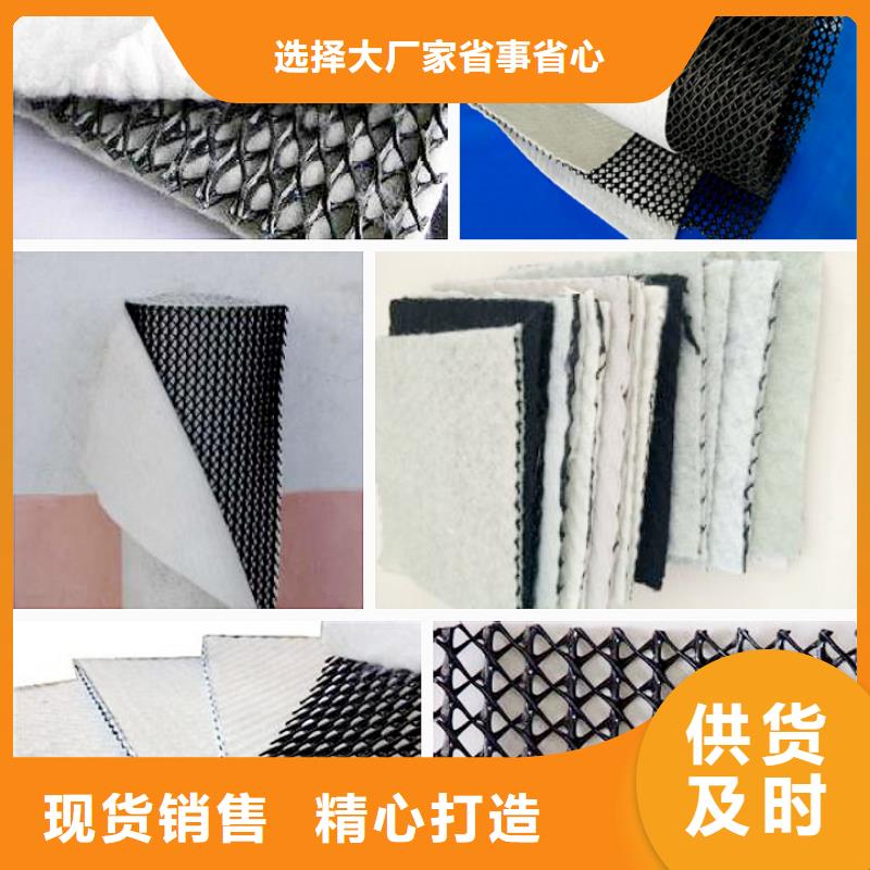 三维复合排水网,三维土工网垫厂家