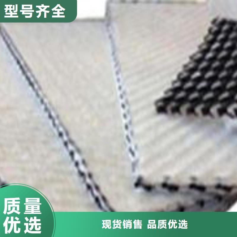 三维复合排水网土工席垫现货充足