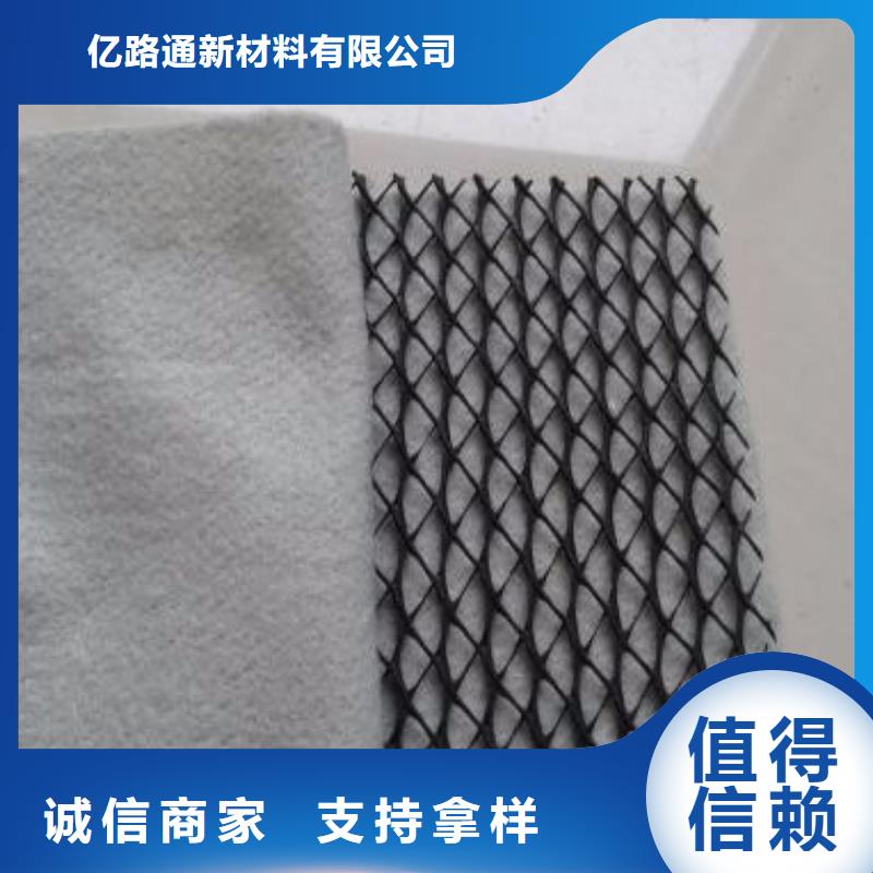 三维复合排水网土工席垫低价货源